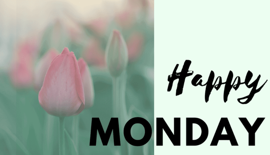 Screenshot 2018-05-21 at 10.21.40 AM