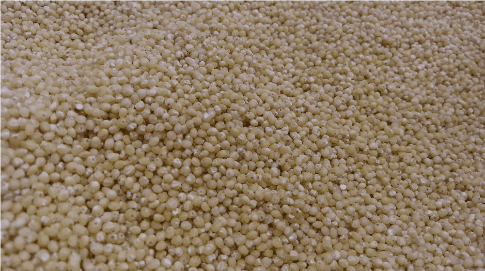 Screenshot from 2019-11-20 12-11-18