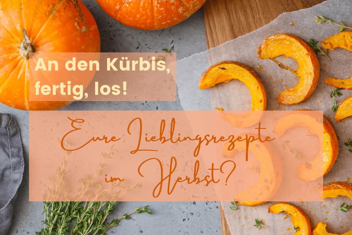 An den Kürbis, fertig, los!(1)