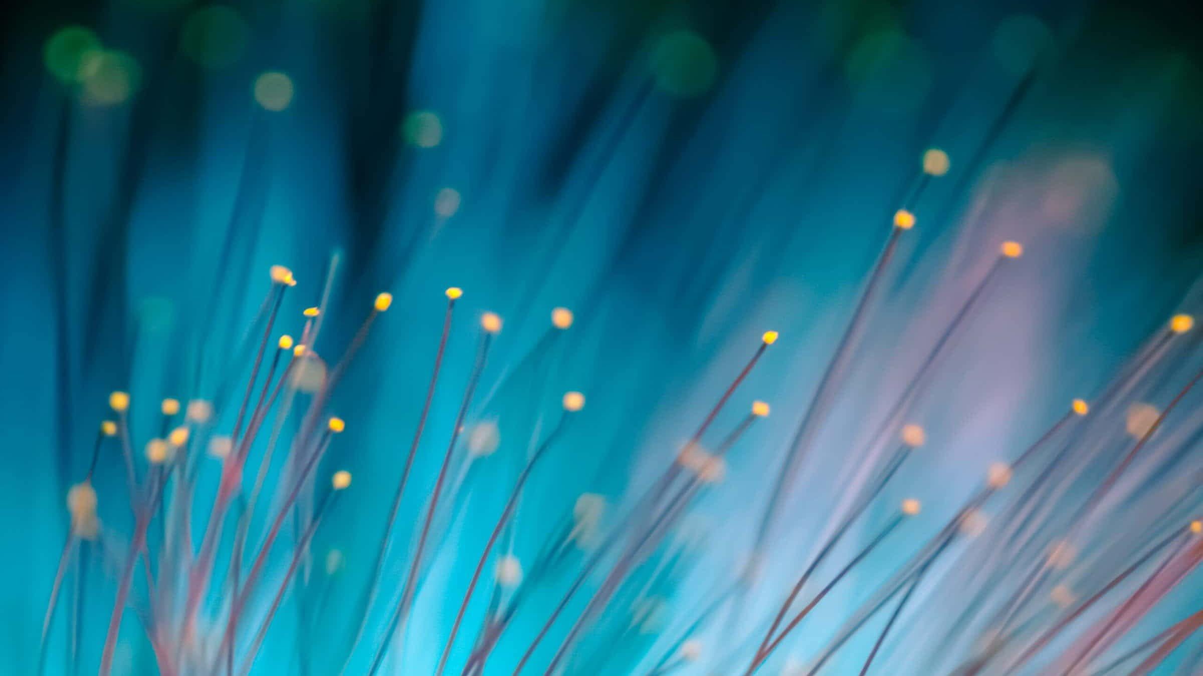 noom-med-blue-fireflies-scaled-1